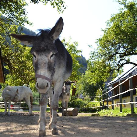 Ferienstadl - Hammerau Göstling an der Ybbs Exterior foto