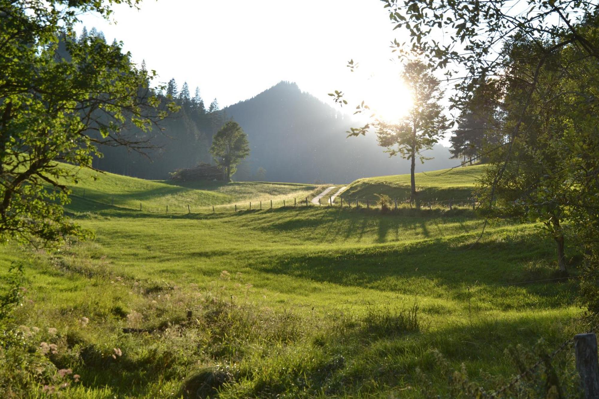 Ferienstadl - Hammerau Göstling an der Ybbs Exterior foto