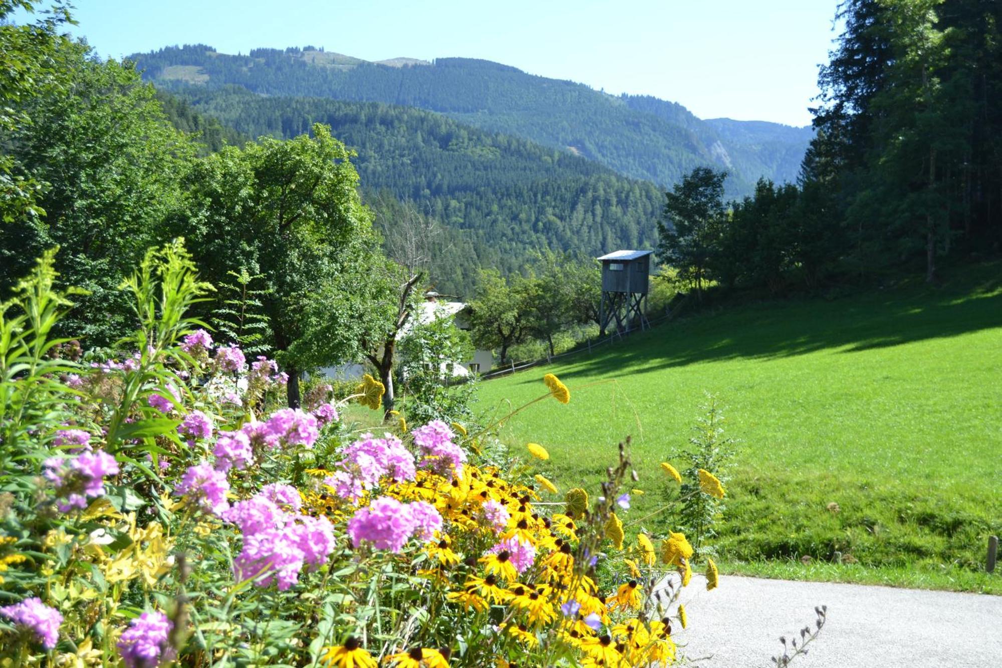 Ferienstadl - Hammerau Göstling an der Ybbs Exterior foto